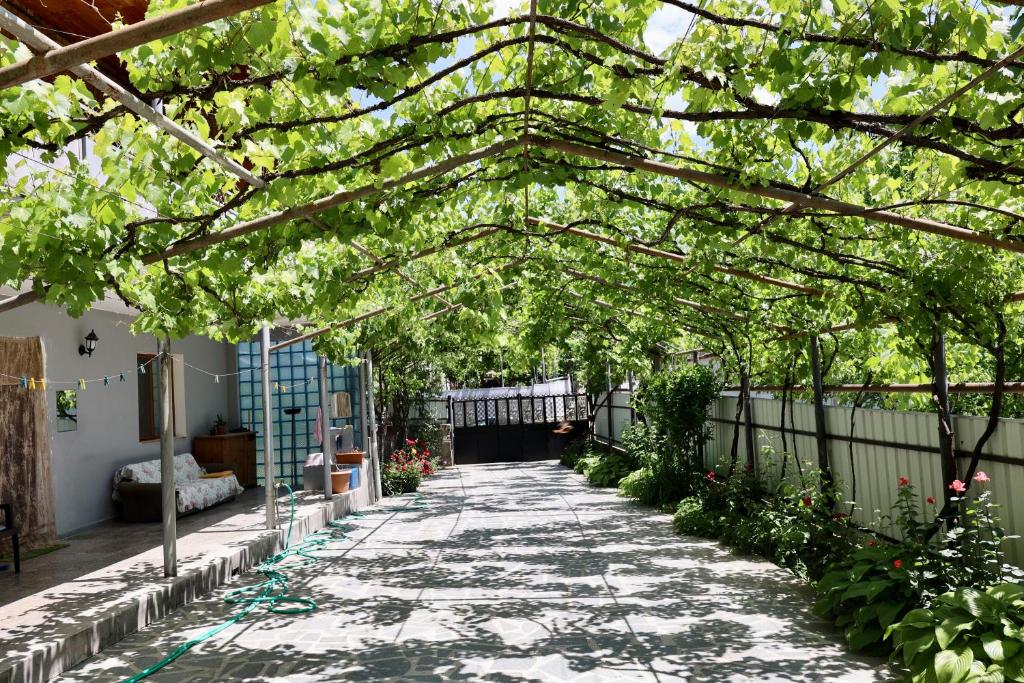 هتل برجومی وود اج borjomi wood edge