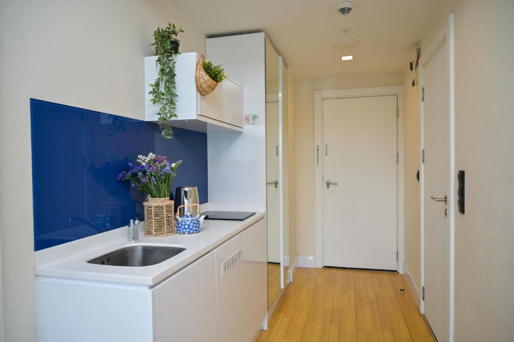 King apartments in Orbi city