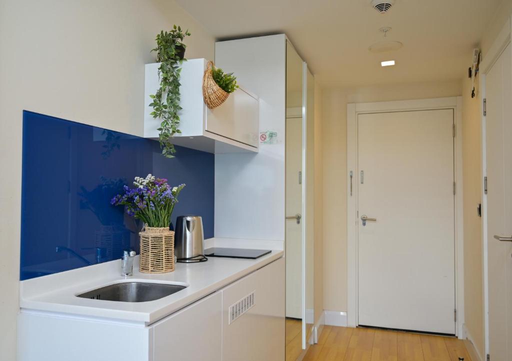 King apartments in Orbi city