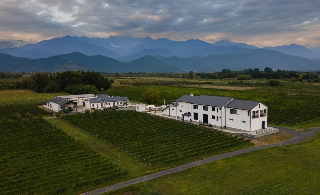 اکلیپس واینری بوتیک هتل Eclipse Winery Boutique Hotel