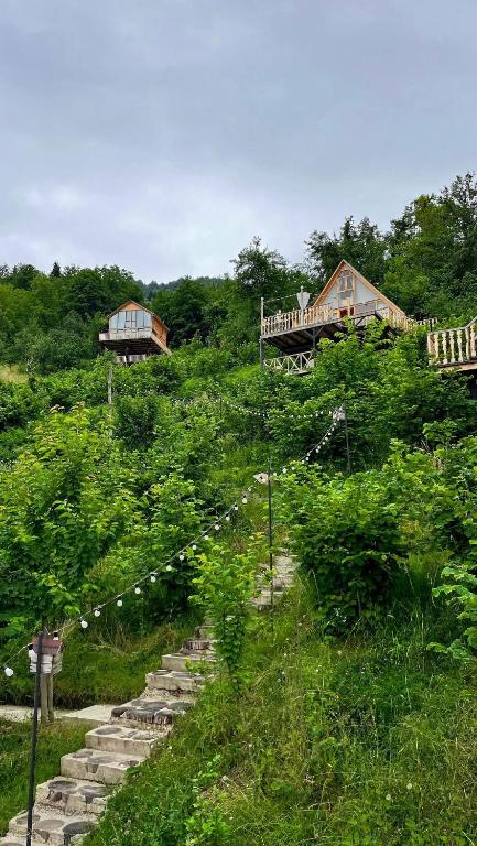 هتل ماونت ساید MountSide