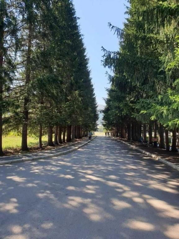 هتل آپارتمنت این باکوریانی سیتی - Apartment in Bakuriani City
