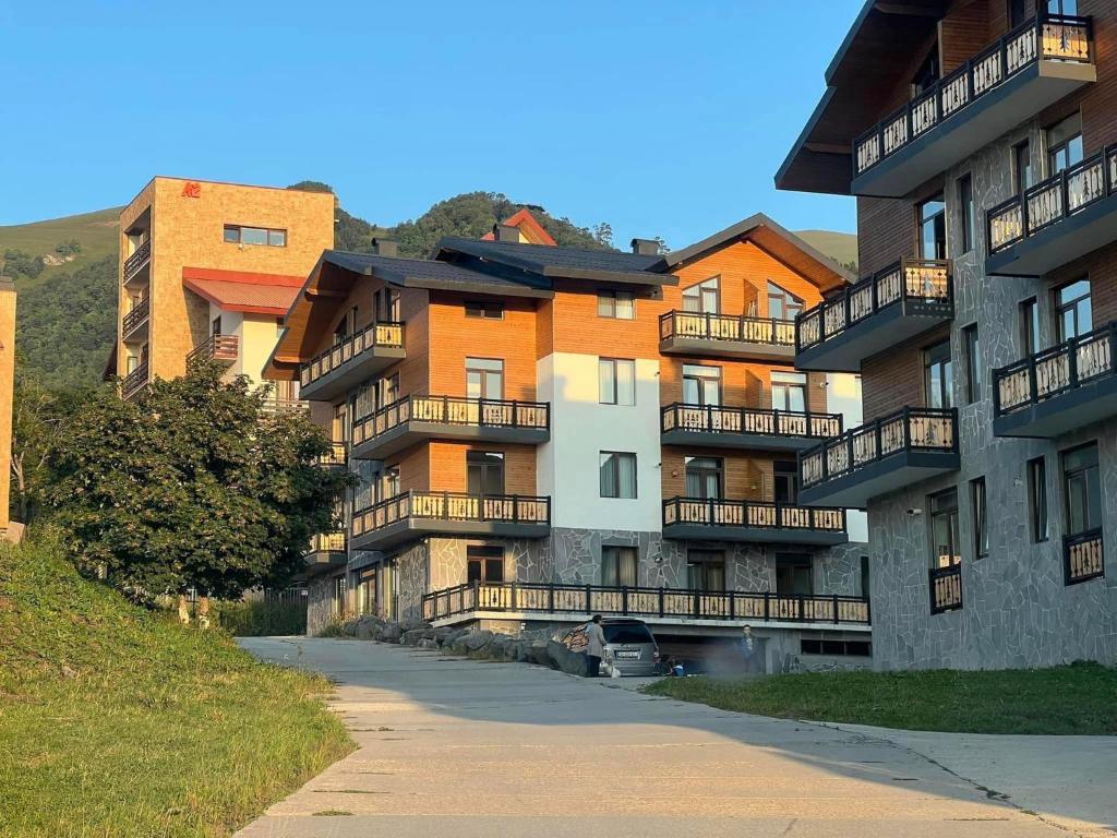 هتل تریالتی رزیدنست آپارتمان در باکورiani - Trialeti Residence Apartment at Bakuriani