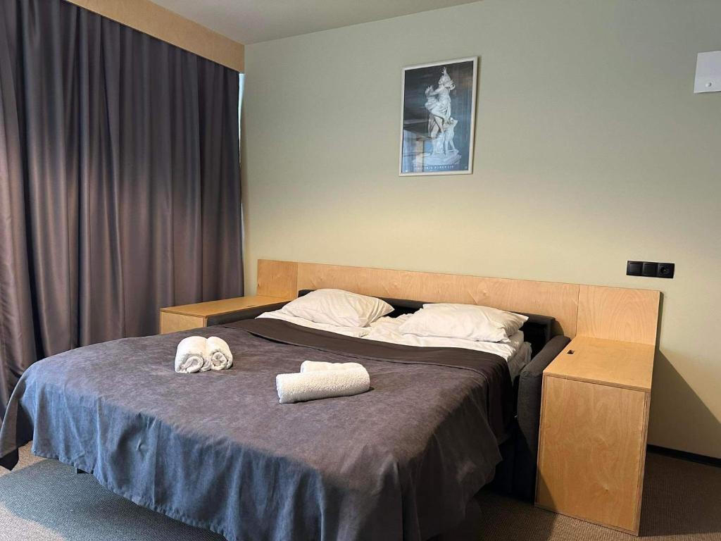 وان روم آپارتمان این رومز هتل کوختا، باکورینی One Room Apartment in Rooms Hotel Kokhta, Bakuriani
