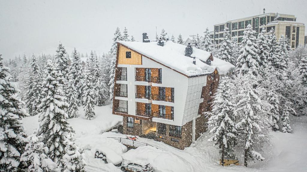 هتل فورست ویلا Forest Villa