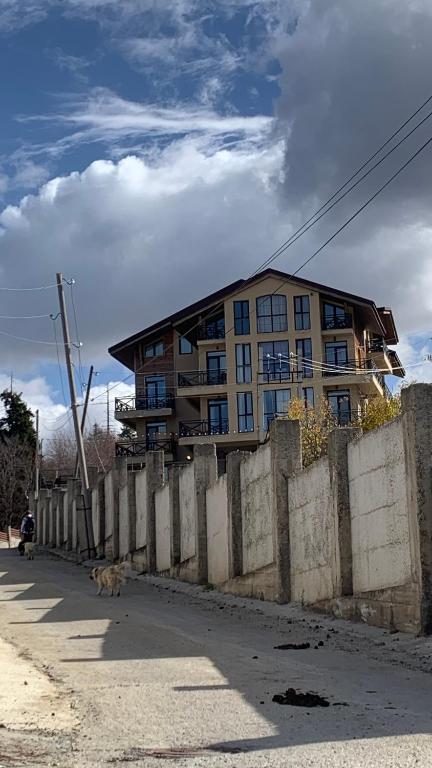 هتل ویلا شیل بکوریانی - Villa Shale Bakuriani