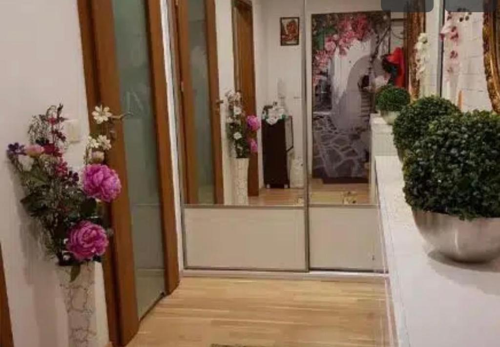 هتل وی آی پی آپارت ۵۸۱ - VIP apart 581