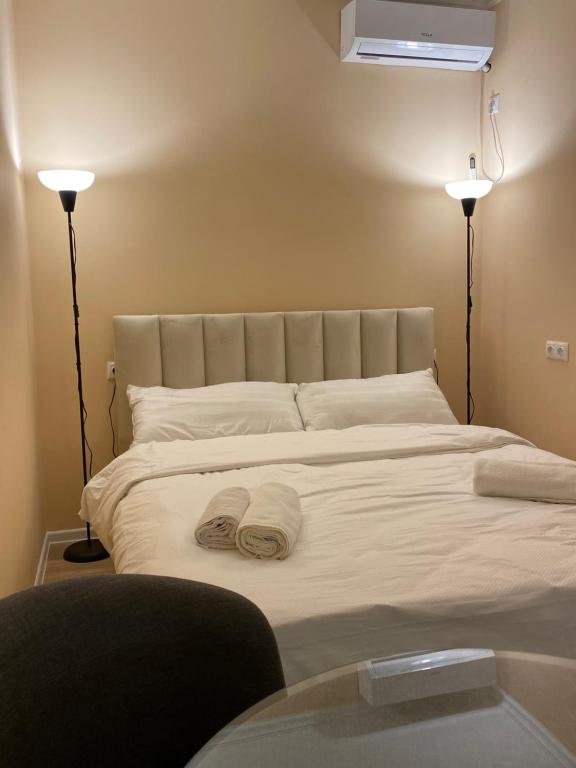 هتل لایکاز آپارتمنت آن متاتسمیندا - Lika's apartment on Mtatsminda