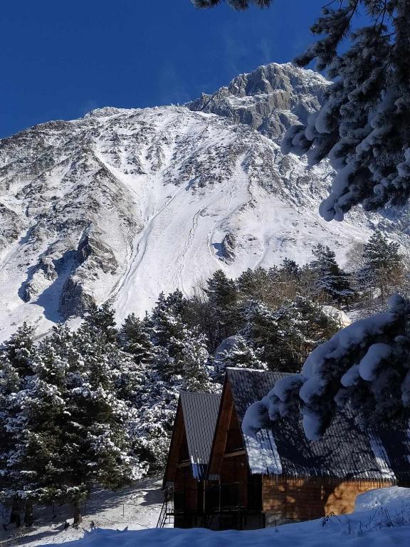 هتل کاتج پارادایس Cottage Paradise