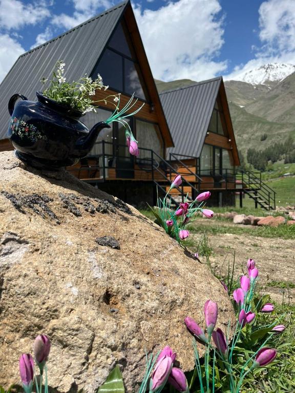 هتل متسگولی کاتجز MTISGULI Cottages