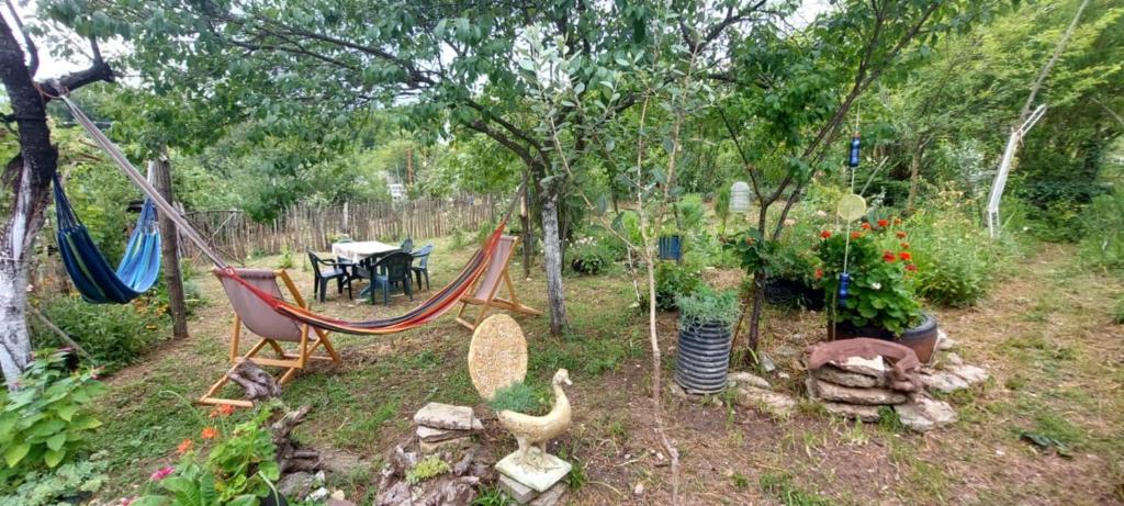 هتل گست هاوس دیوید Guest House David