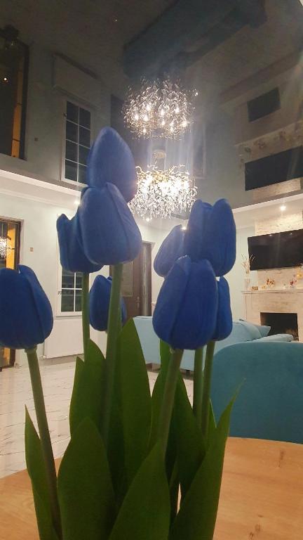 هتل اوروفایل گست هاوس Orophile guest house