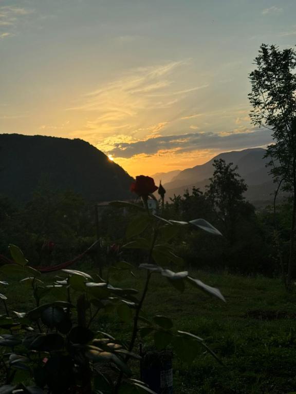 هتل کاتج اسپیس Cottage space