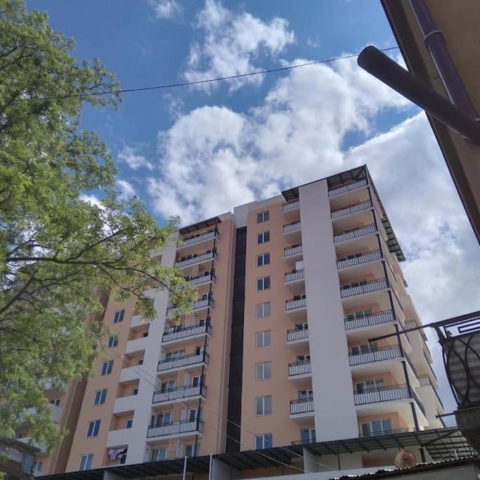 هتل مسختی تاور یونیت 93 Meskheti Tower Unit 93