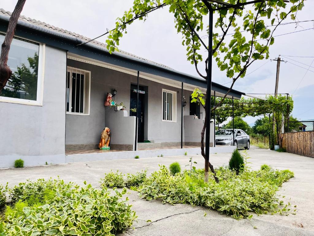 هتل سانی Hotel Sunny