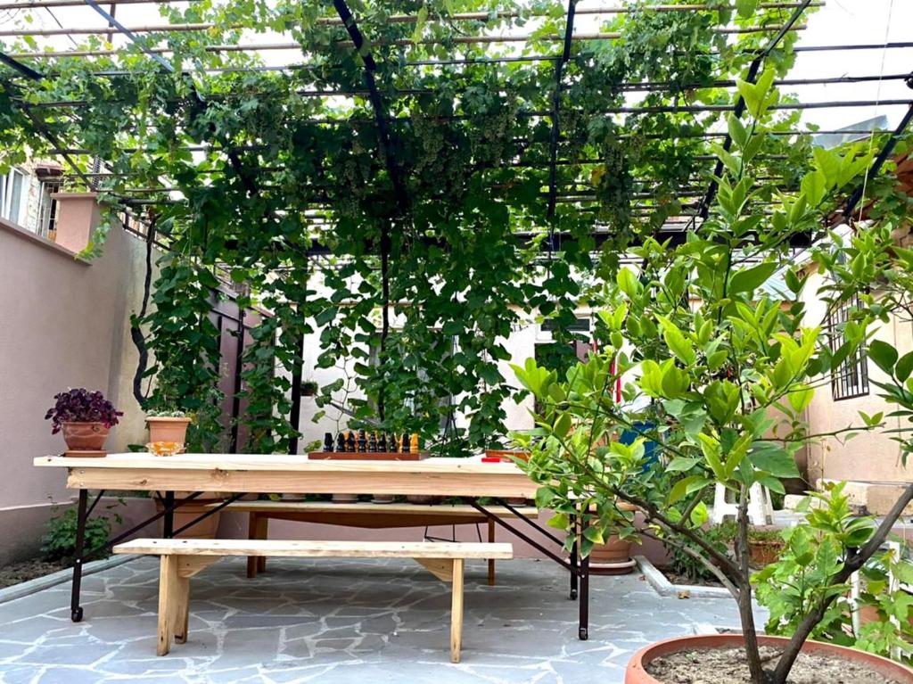 Guest House - Avlabari
