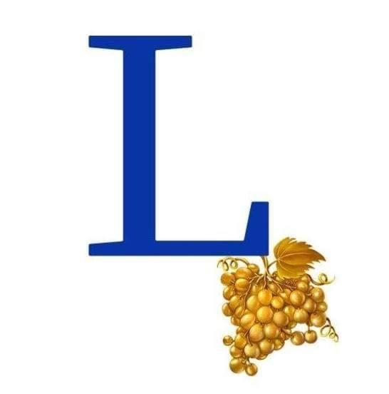 هتل خانه L L House