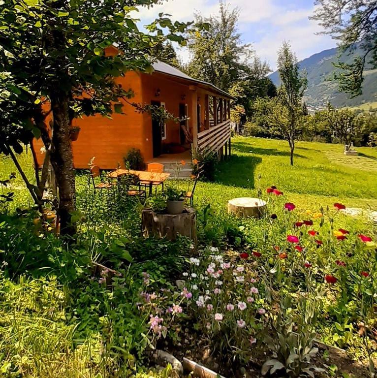 هتل کلبه شگدی Cottage Shgedi