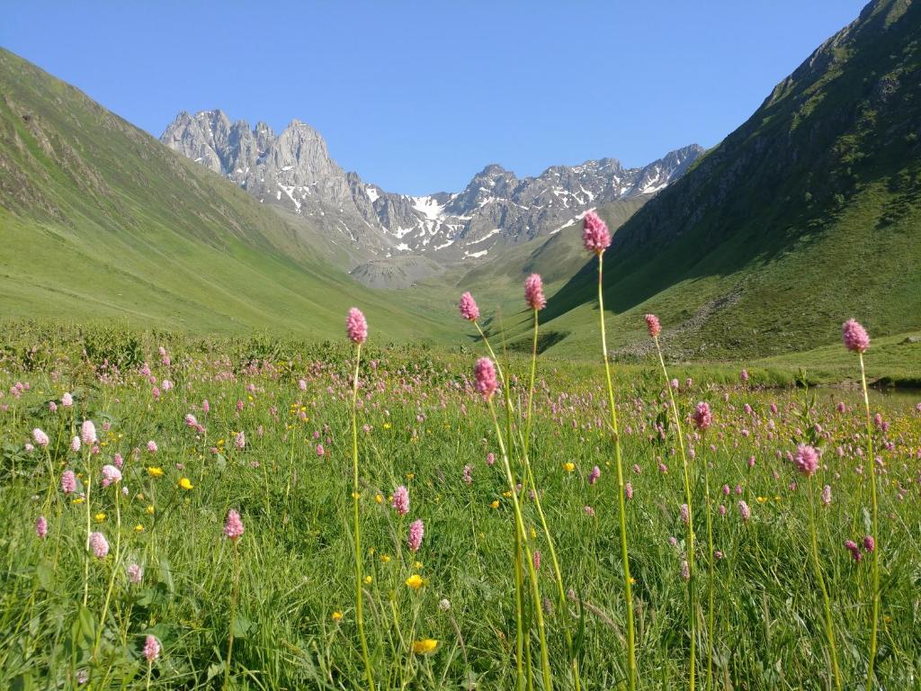 هتل مهمانسرای لالی در جوتا Lali`s Guest House in Juta