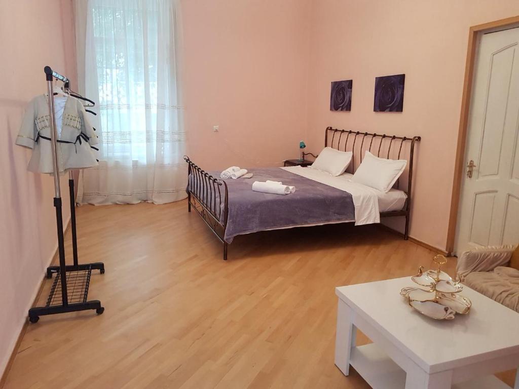 هتل آپارتمان در قلب تفلیس - Apartment in the heart of Tbilisi