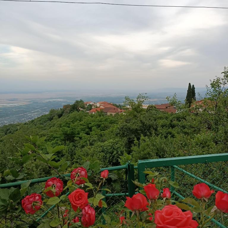 هتل مهمانخانه کیکو Guesthouse Kiko