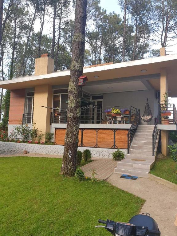 هتل شگفتی بزرگ شکوتیلی Shekvetili Big Wonder