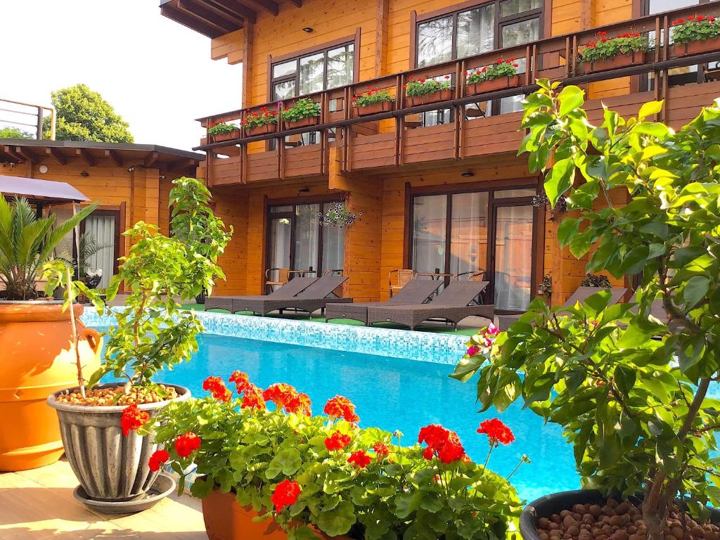 هتل مهمانخانه استارایا ماتسستا - Guesthouse Staraya Matsesta