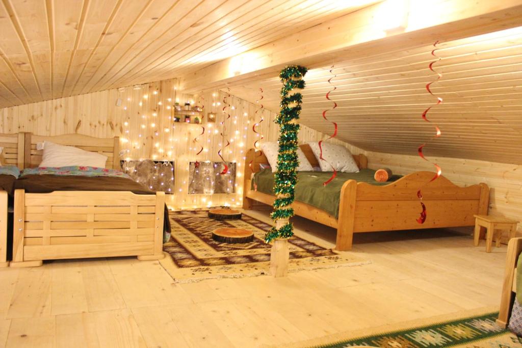 هتل محل اقامت باکوریانی - Bakuriani residence