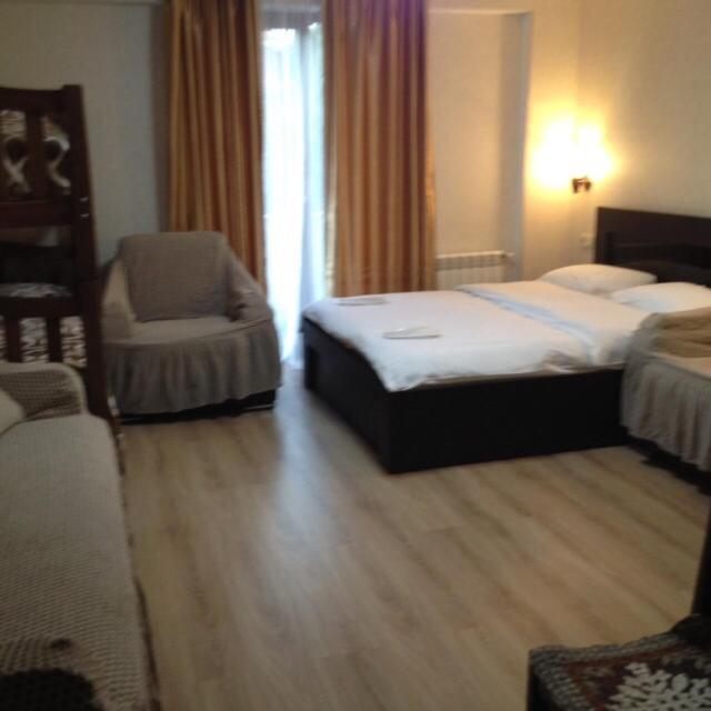 هتل دیوید در کاخ Bakuriani Orbi Apt David APT on Bakuriani Orbi Palace