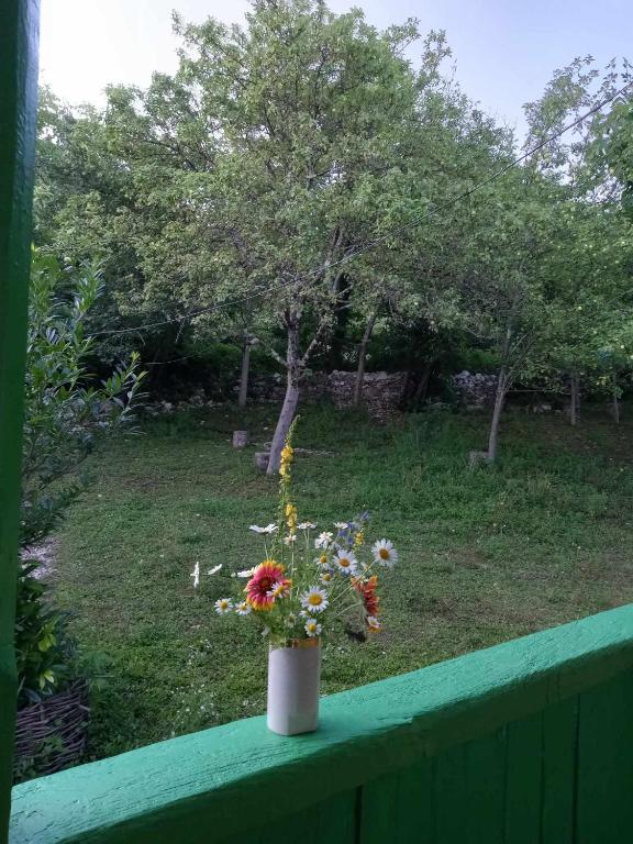 هتل مهمان خانه گلیادا Guest House Guliada