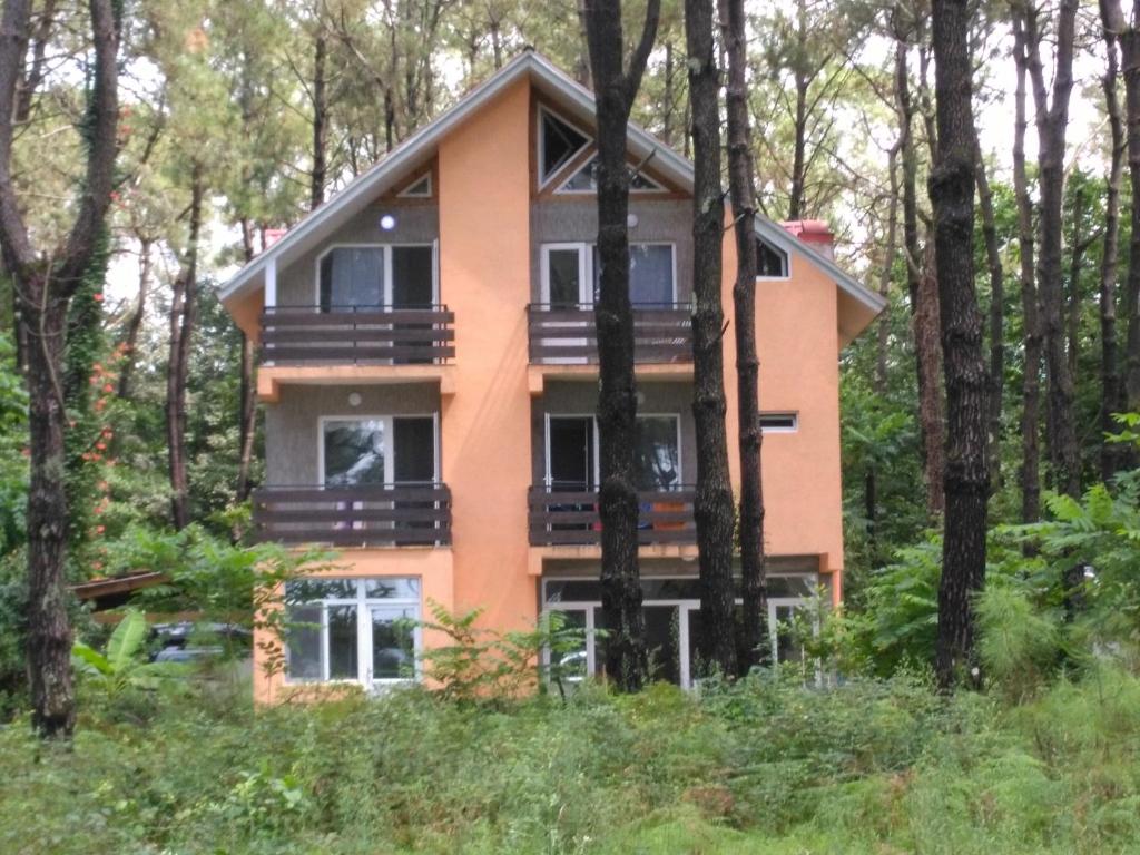 هتل ویلا Villa Vachnadze