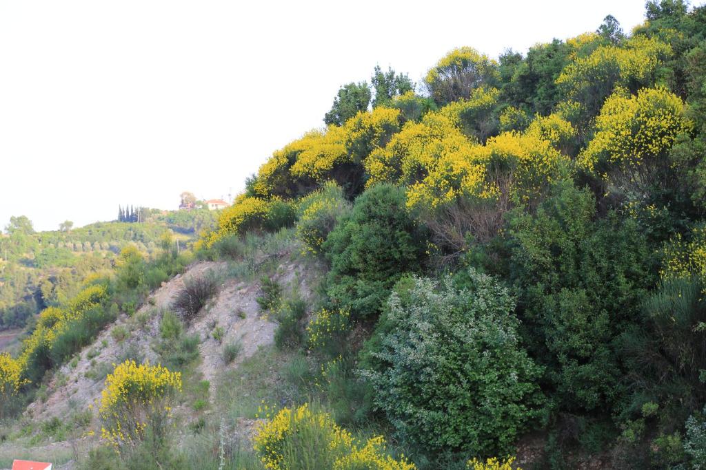 یونکا هتل Yonca Hotel
