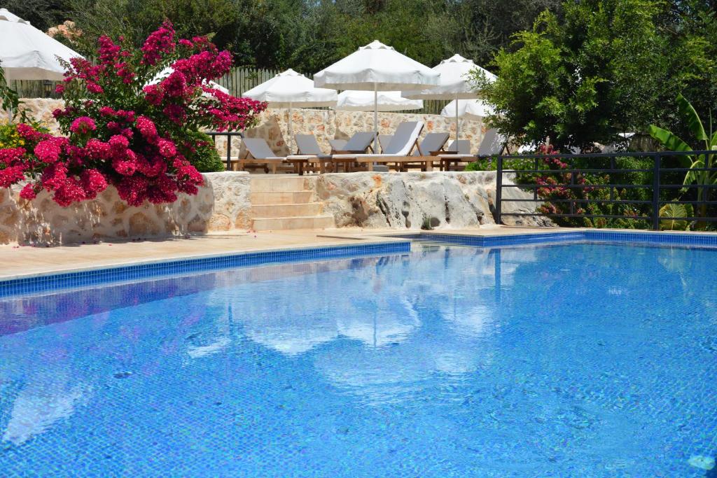 دارداانوس هتل Dardanos Hotel