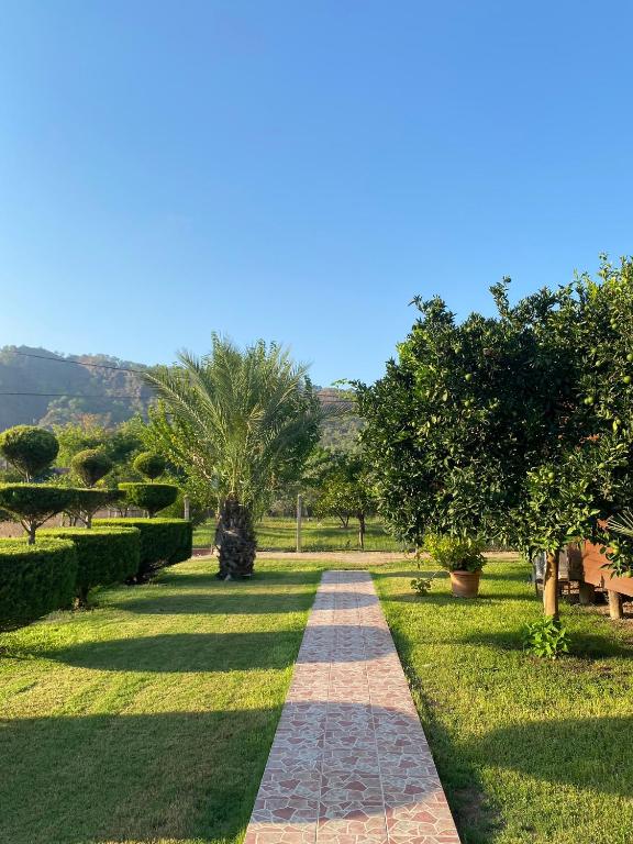 پلاژ هتل Plaj Hotel