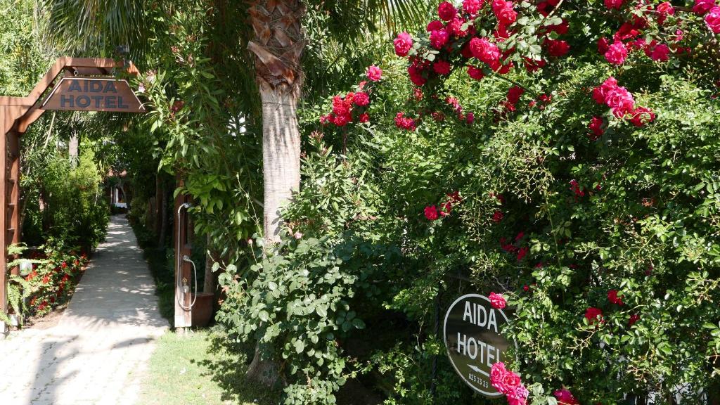 ایدیا هتل Aida Hotel