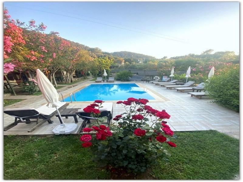 هتل مونته‌نگرو موتل Montenegro Motel