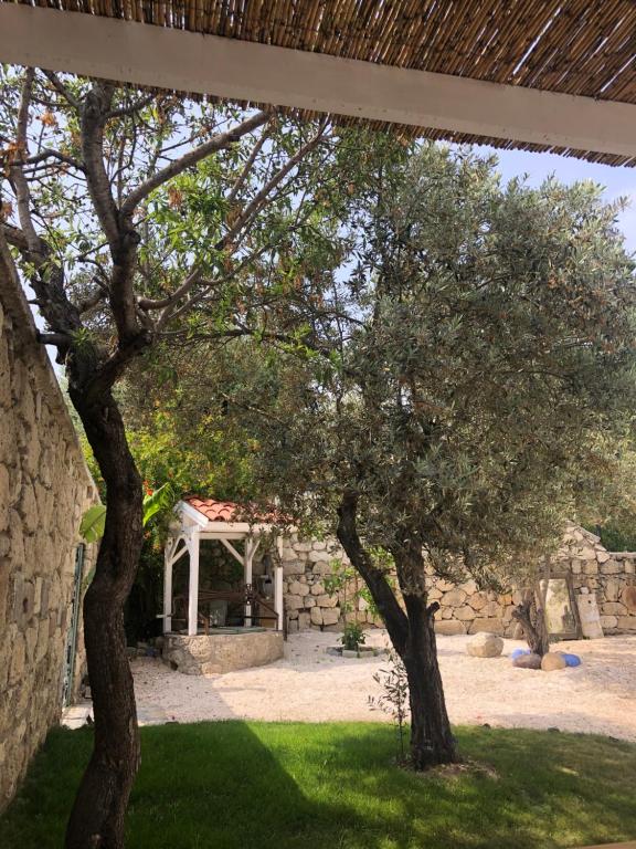 تِموچین هتل Temucin Hotel