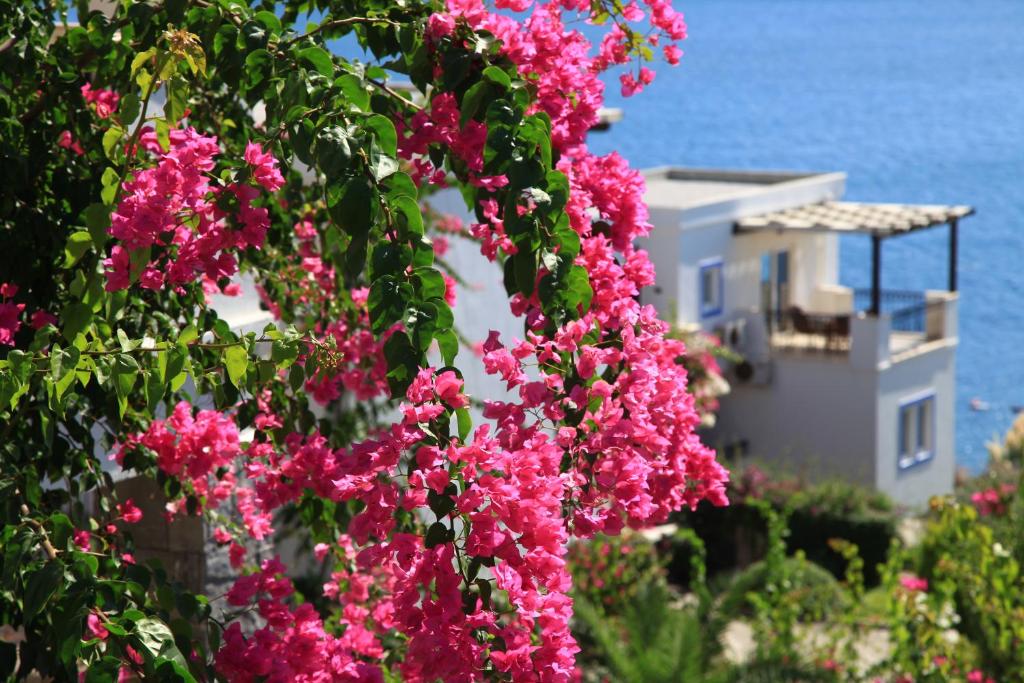 هتل اکتور ریزیدنس Aktur Residence