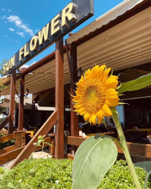 سان فلاور آپارت هتل - Sun Flower Apart Hotel