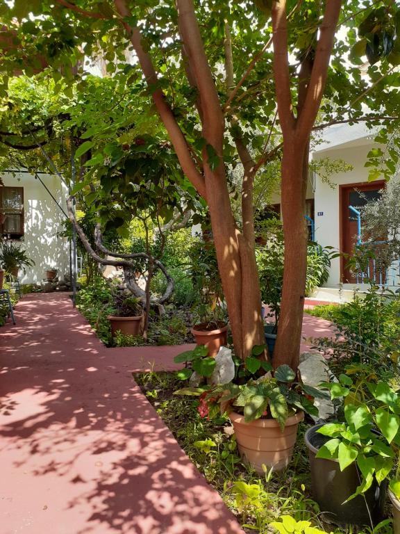 Sunset Boutique Hotel & Apartments