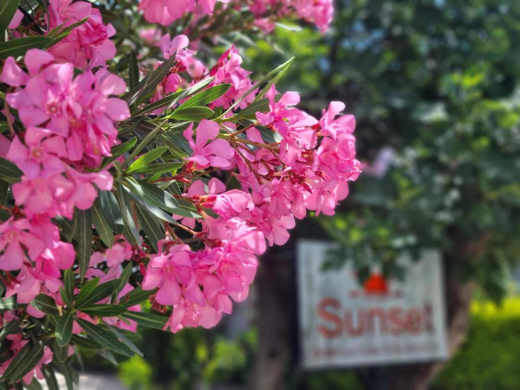 Sunset Boutique Hotel & Apartments