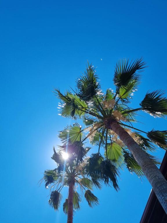 Sunset Boutique Hotel & Apartments