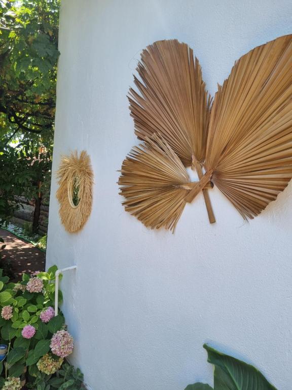 Sunset Boutique Hotel & Apartments